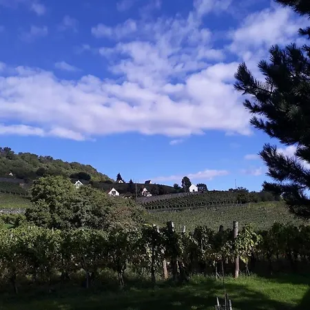 ゲストハウス Varsadi Birtok Piano *