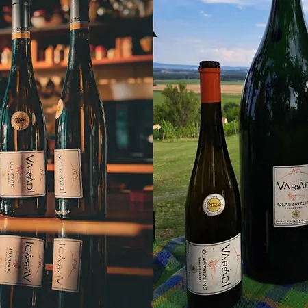 Varsadi Birtok Piano ゲストハウス *